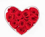 Lucia LOPS - LULU PHOTOGRAPHY